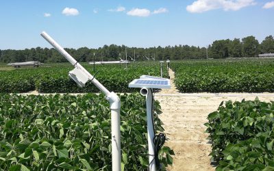 A StressCam, a low-cost camera system to monitor crop stress, over a field of soybeans at the Sandhills Research Station.