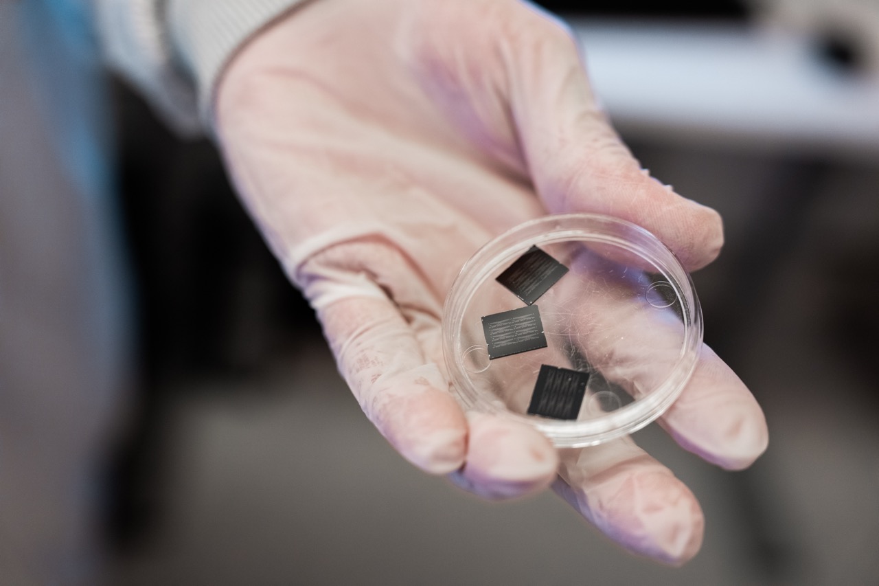 Gloved hand holding microchips in a petri dish, symbolizing research and technology in a laboratory setting.