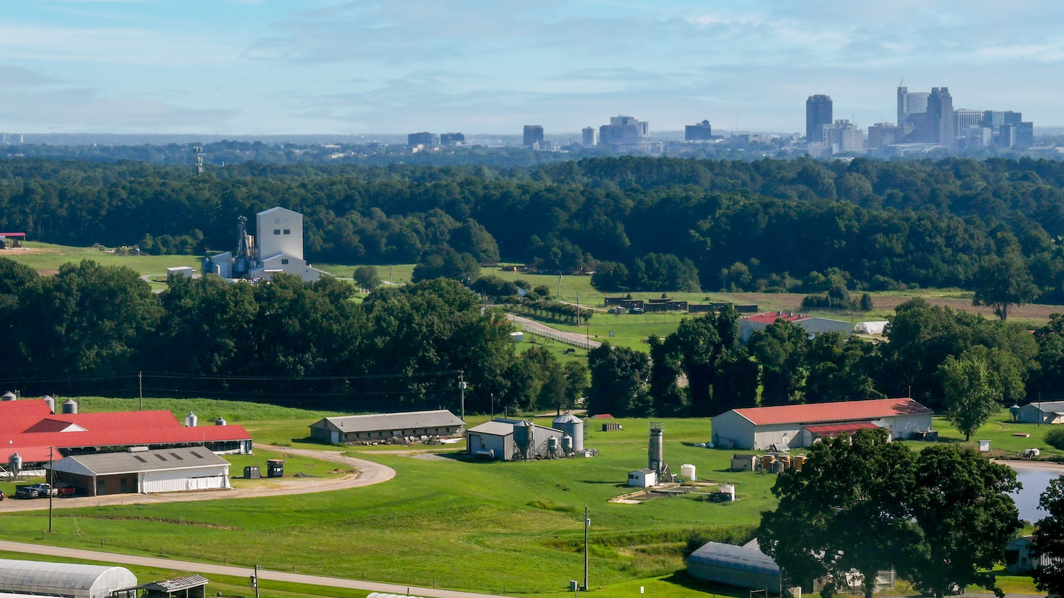 NC State's Feed Mill Education Unit, with high-rise downtown buildings in the background and red-roofed farm buildings of the Lake Wheeler Road Field Lab in the foreground
