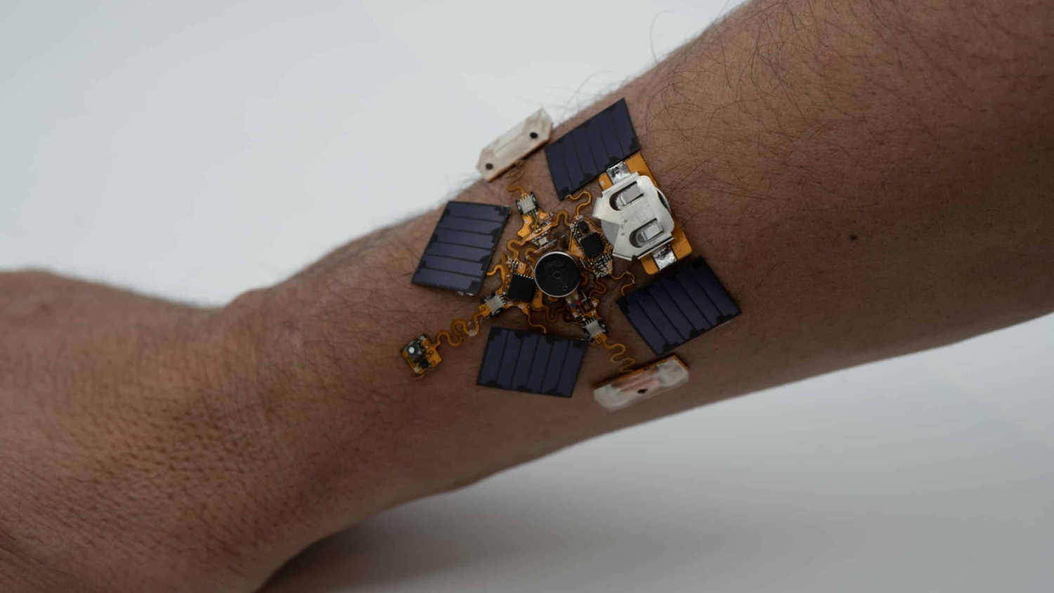 Wearable, multimodal sensor that detects gaseous, aerosolized, and aqueous environmental toxins and alerts the wearer via unique haptic feedback codes.